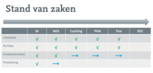 voortgang-projecten-Bijniernet-7-juli-2015-4