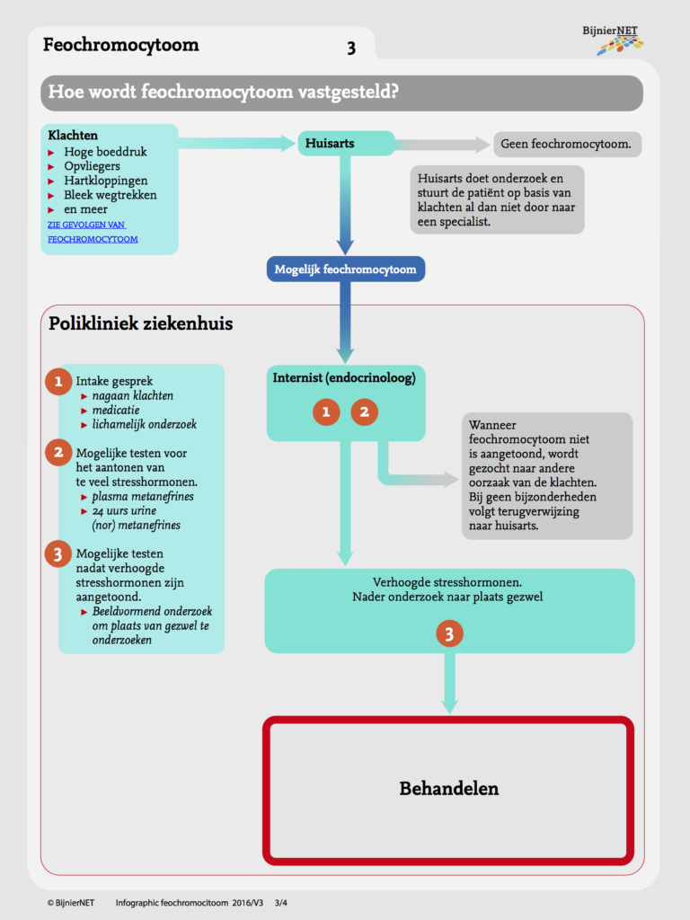 infographic-Feochromocytoom-web-NL-160713V3-def 3