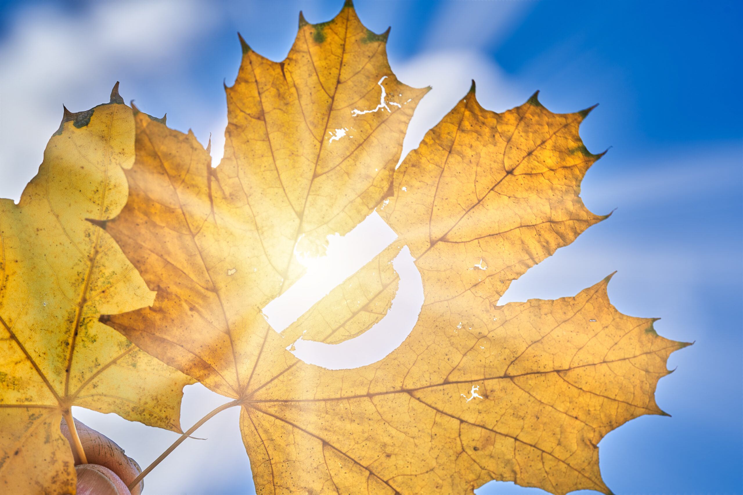 Calcium en vitamine D - BijnierNET